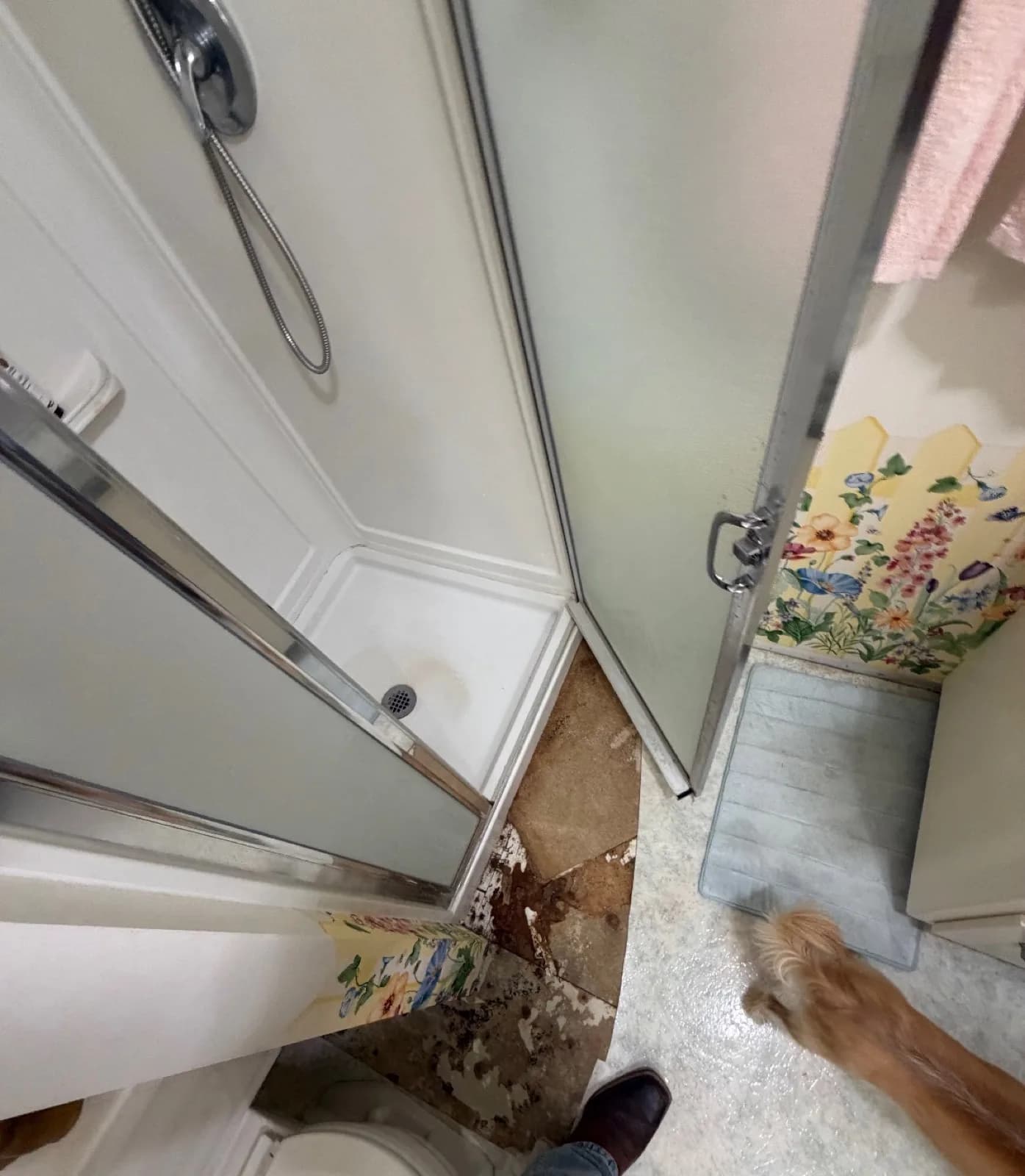 Before: Roseville shower entry with dry rot damage on the floor and dated floral wallpaper — framed sliding glass doors