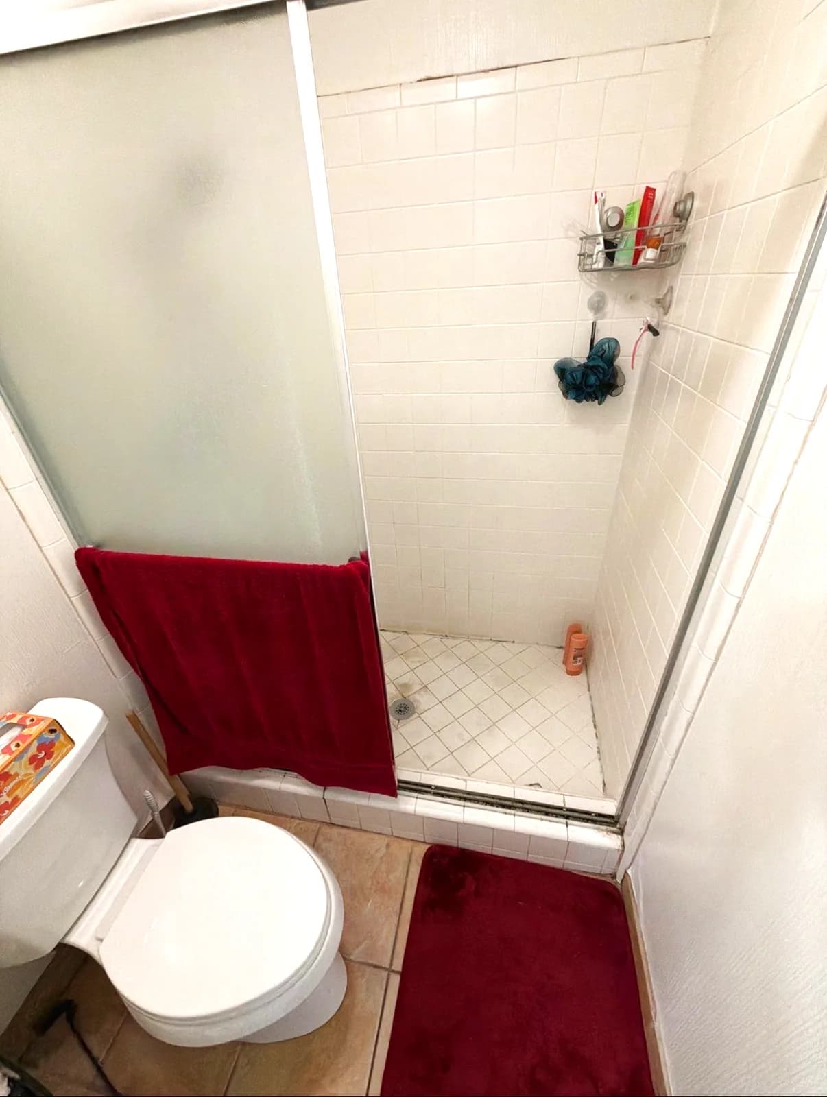 Before: clouded framed shower doors and a tiled curb beside the toilet in a Citrus Heights master bathroom