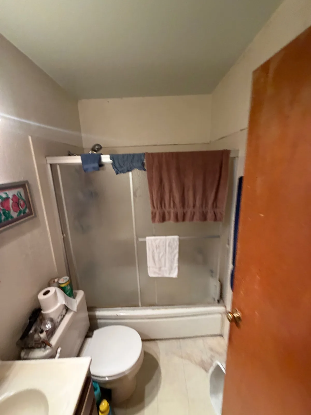 Before: narrow Woodland bathroom with tub-shower combo, toilet and vanity crowded into the alcove